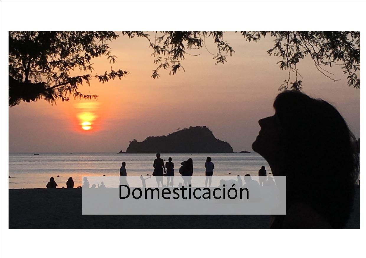 Domesticación