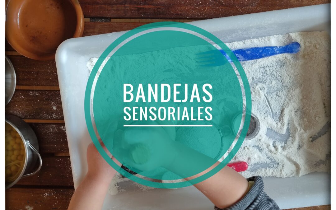 BANDEJAS SENSORIALES